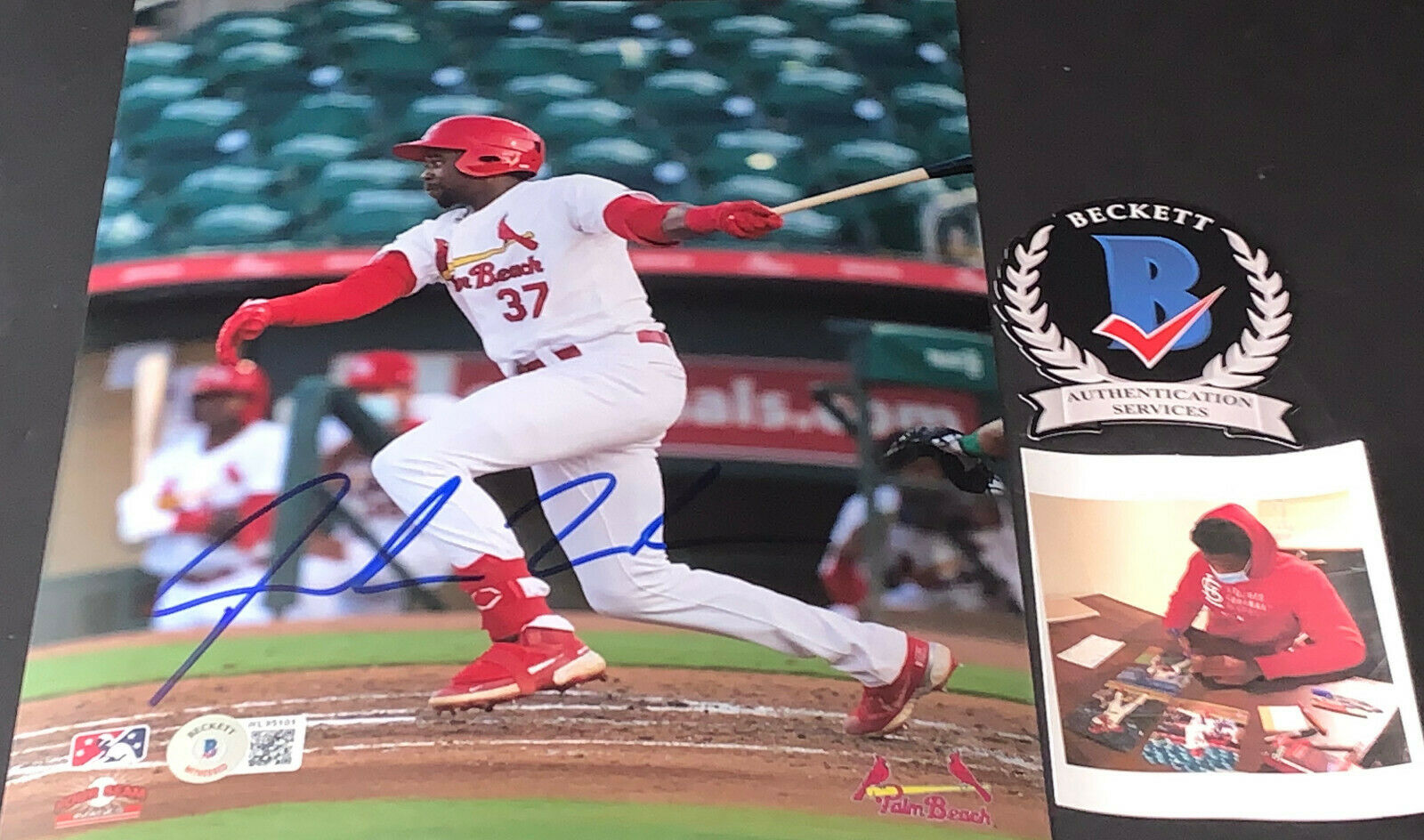 Jordan Walker St Louis Cardinals Auto Signed 8x10 Photo Beckett WITNES —  SidsGraphs
